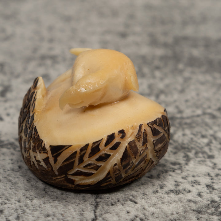 Vintage White Parrot Bird Tagua Carving