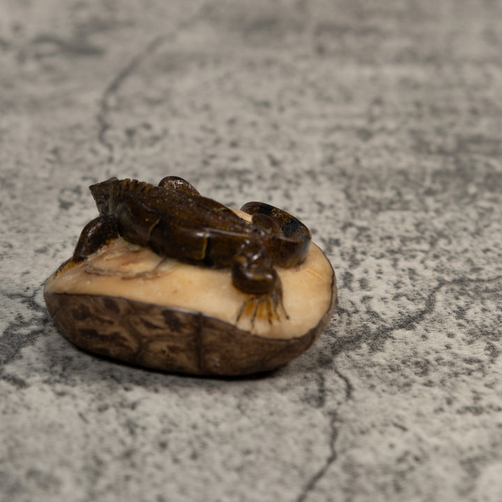 Green And Black Iguana Lizard Tagua Carving