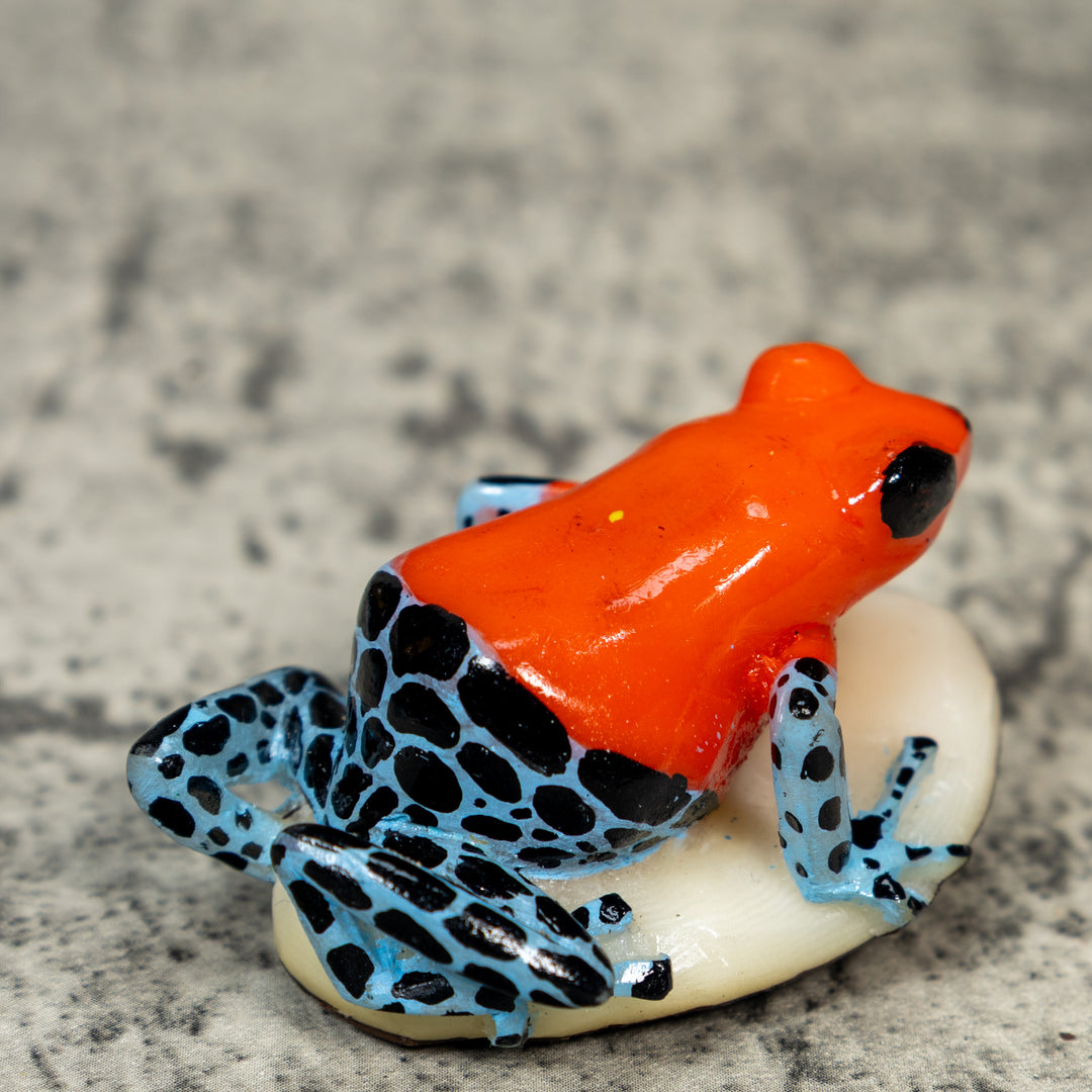 Red Black And Blue Poison Dart Frog Tagua Carving