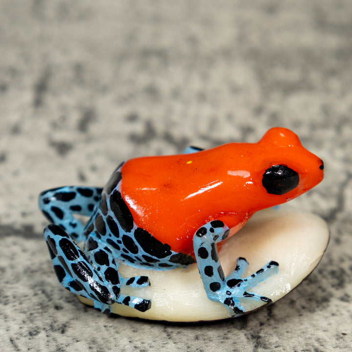 Red Black And Blue Poison Dart Frog Tagua Carving