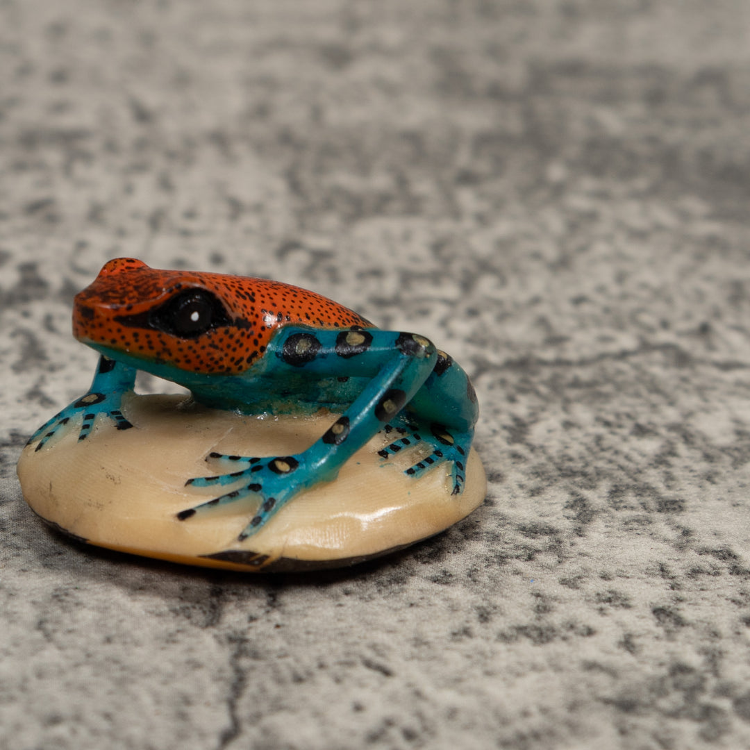 Black Blue And Red Poison Dart Frog Tagua Carving