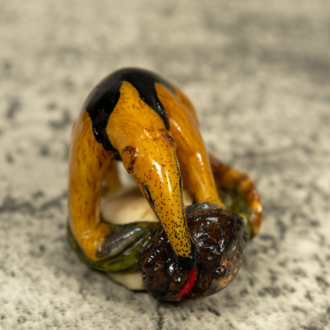 Brown And Black Anteater With Termit Nest Tagua Carving