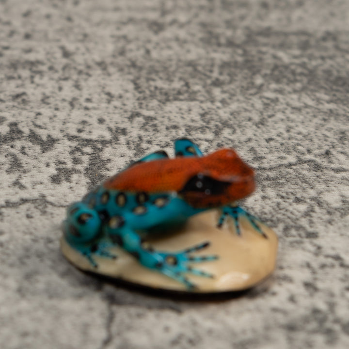 Black Blue And Red Poison Dart Frog Tagua Carving