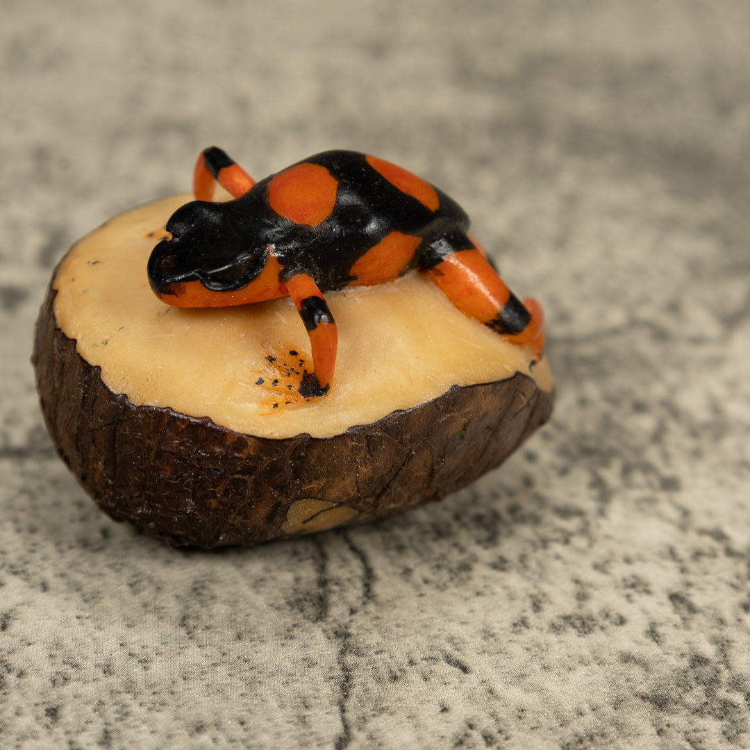Black And Orange Poison Dart Frog Tagua Carving