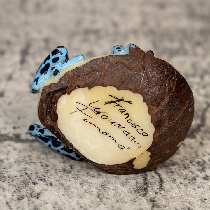 Red Black And Blue Poison Dart Frog Tagua Carving