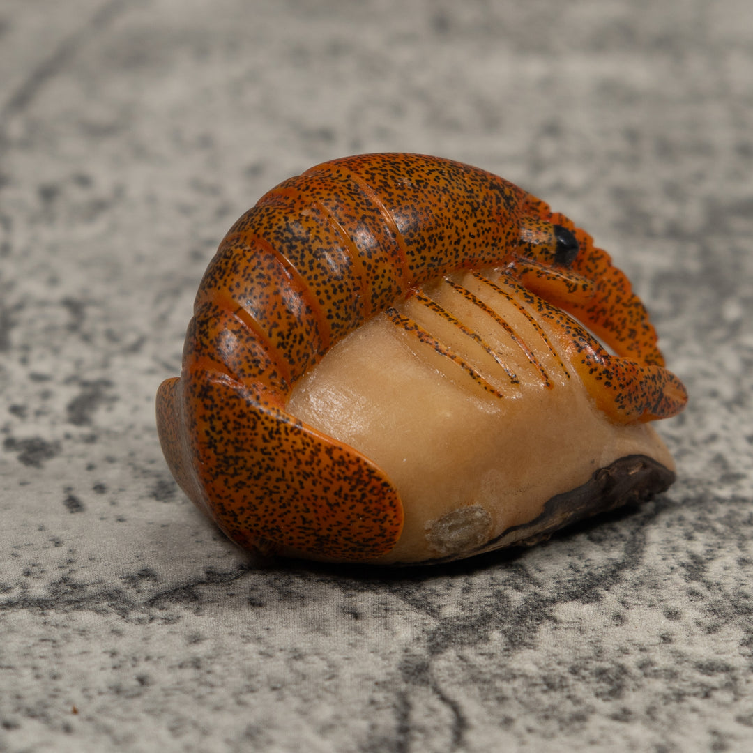 Vintage Shrimp Tagua Carving