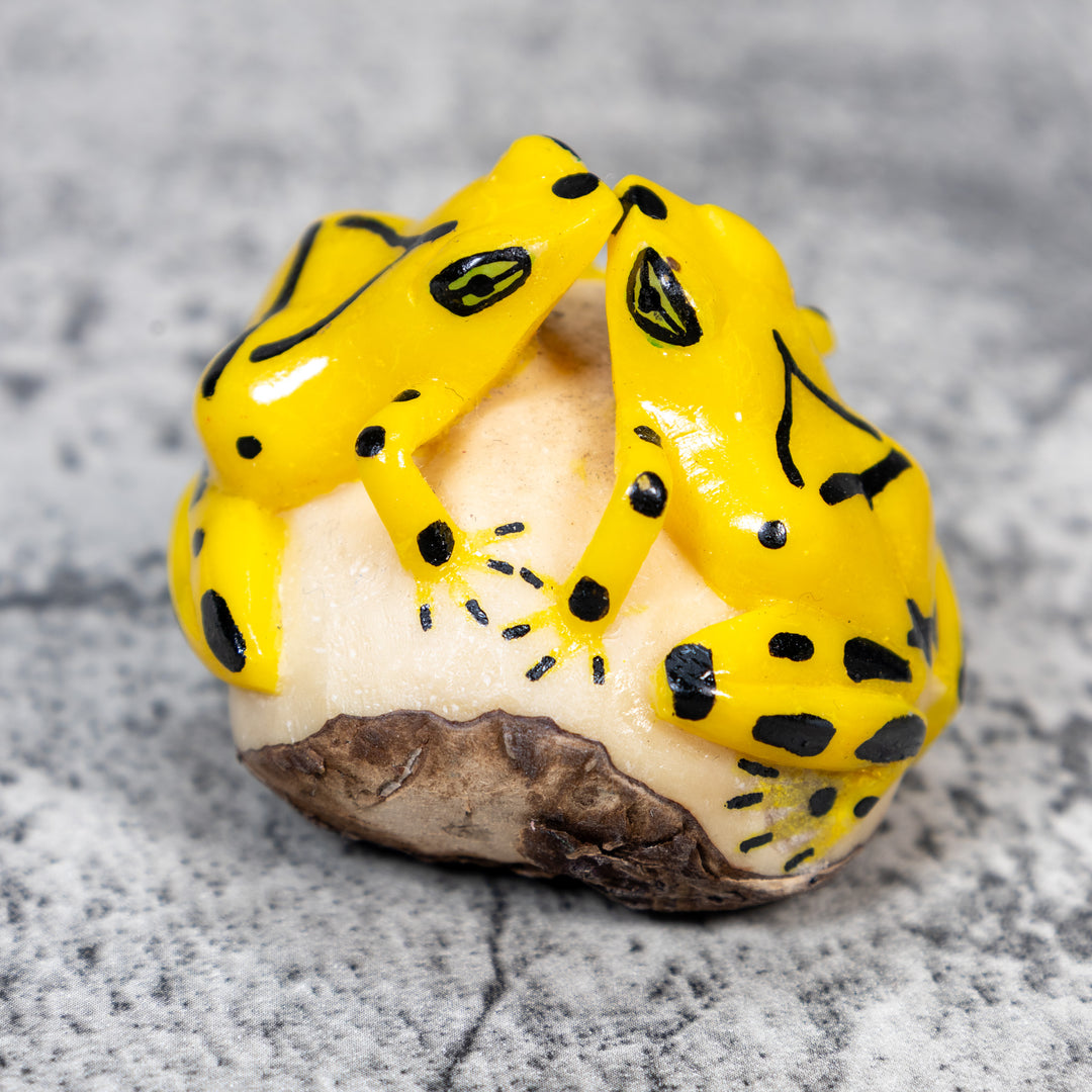 Double Golden Kissing Frog Tagua Carving
