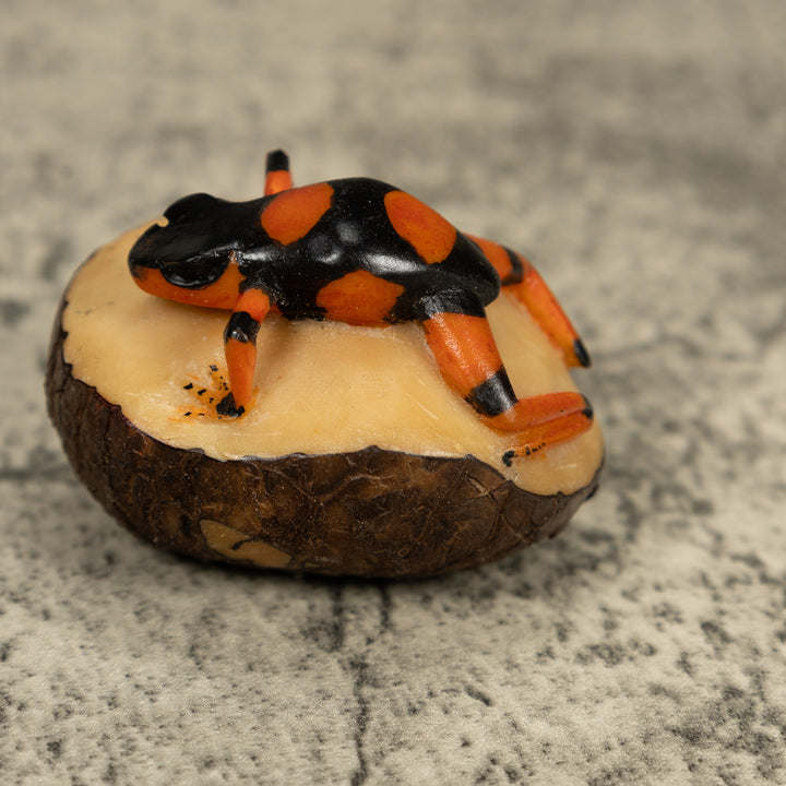 Black And Orange Poison Dart Frog Tagua Carving