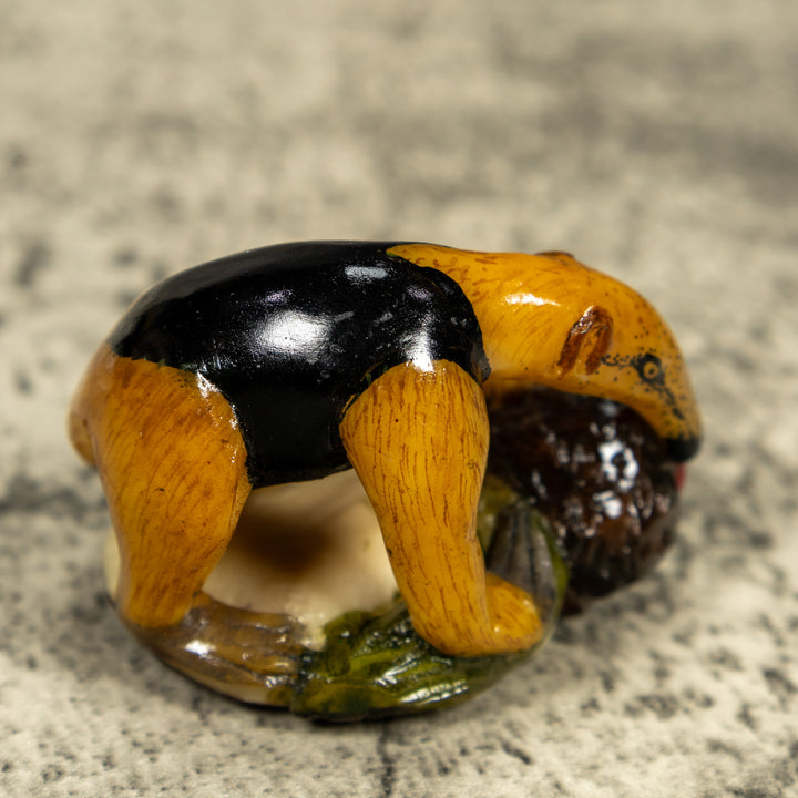 Brown And Black Anteater With Termit Nest Tagua Carving