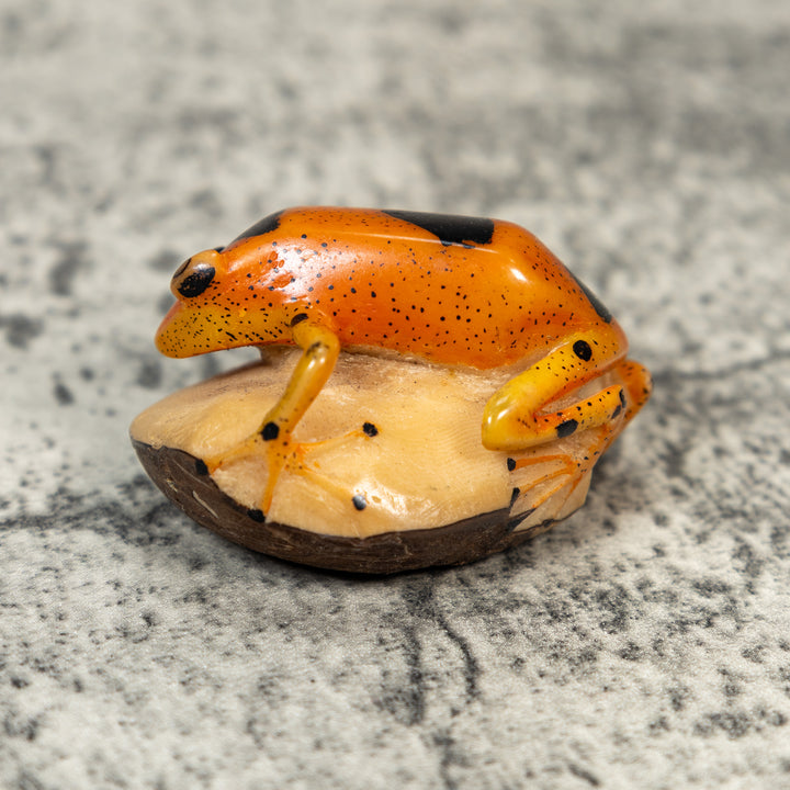 Vintage Poison Dart Frog Tagua Carving