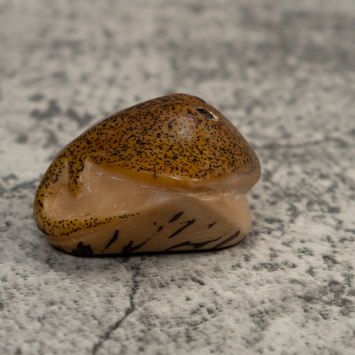 Speckled Ocean Stingray Tagua Carving