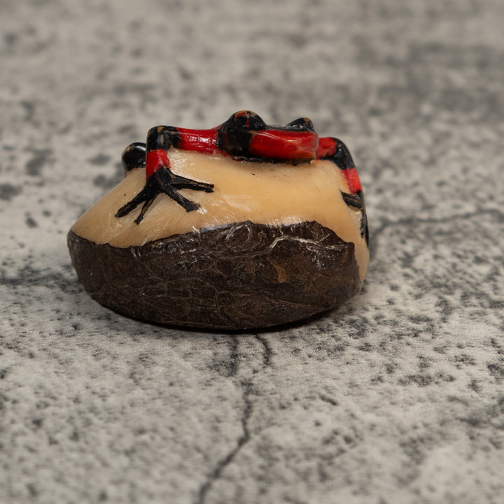 Red And Black Poison Dart Frog Tagua Carving