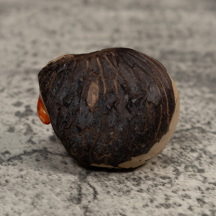 Vintage Red And Black Poison Dart Frog Tagua Carving