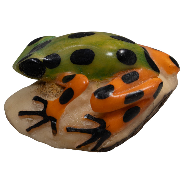 Orange Green And Black Poison Dart  Frog Tagua Carving