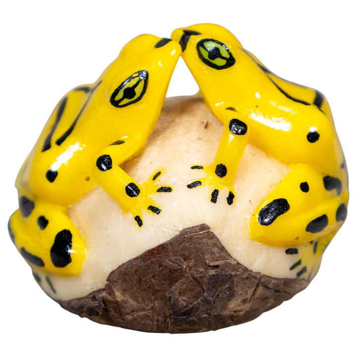Double Golden Kissing Frog Tagua Carving