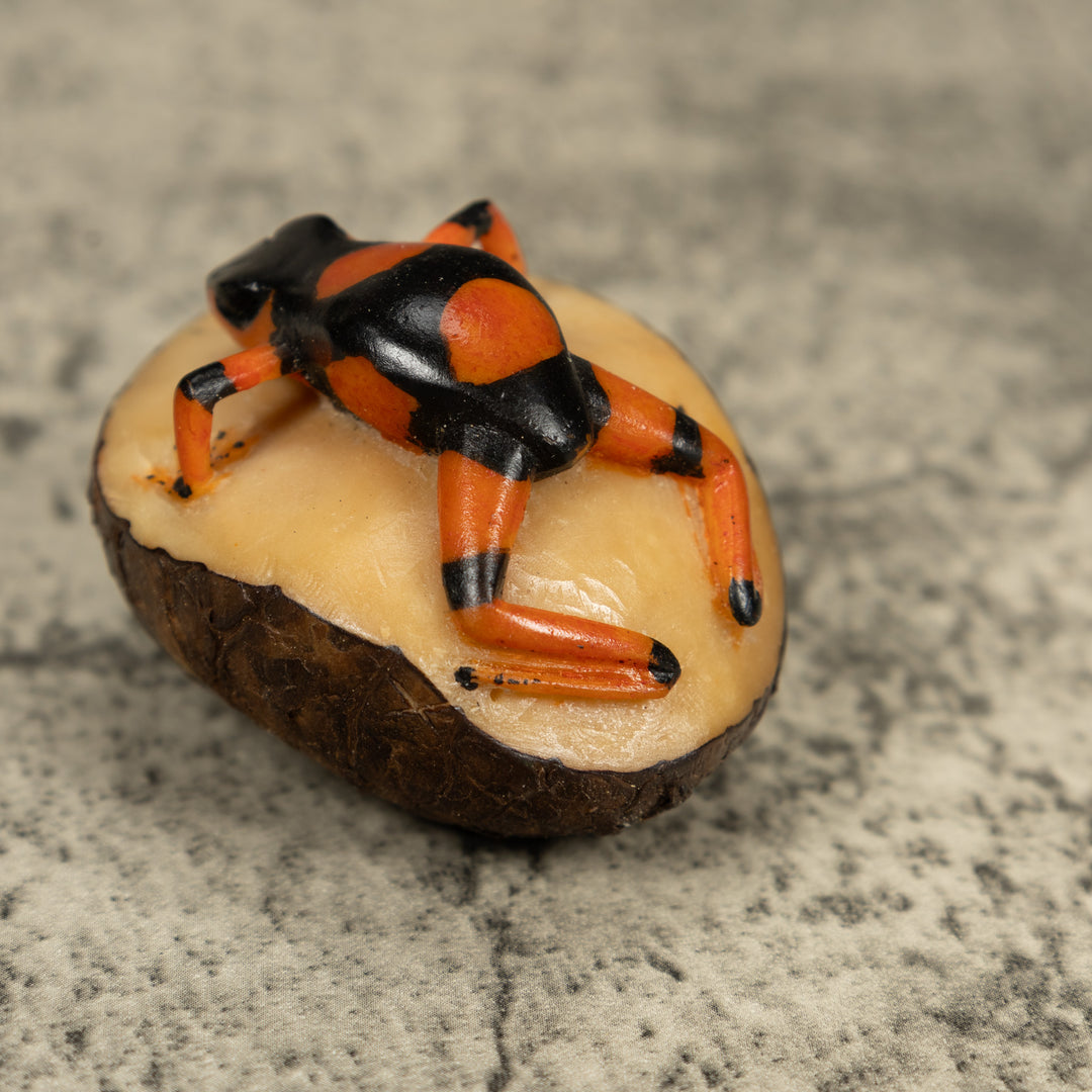 Black And Orange Poison Dart Frog Tagua Carving