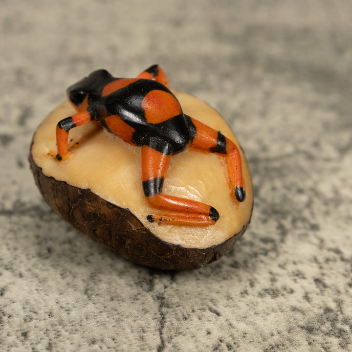 Black And Orange Poison Dart Frog Tagua Carving