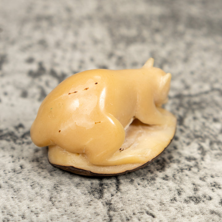 Natural White Coatimundi Tagua Carving