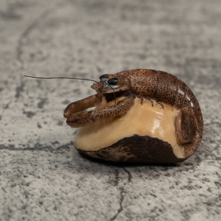 Vintage Brown Shrimp Tagua Carving