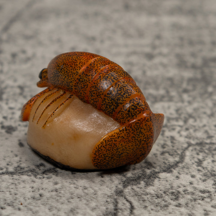 Vintage Shrimp Tagua Carving