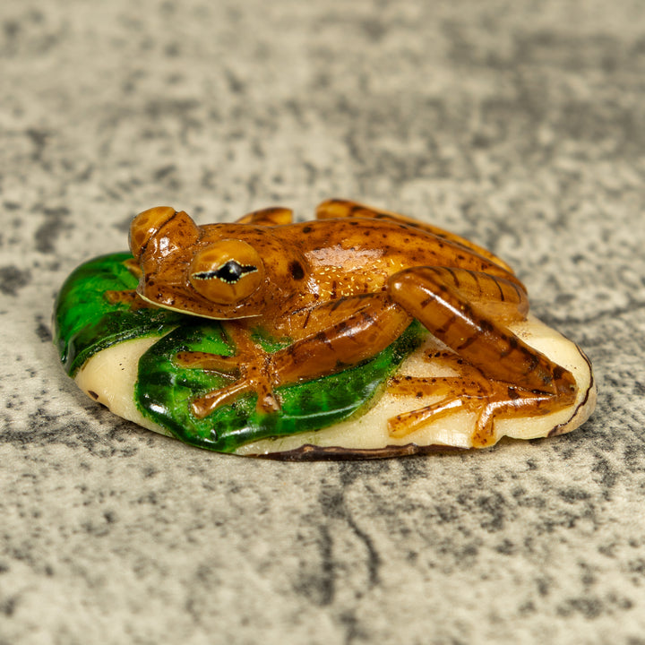Brown And Black Poison Dart Frog Tagua Carving