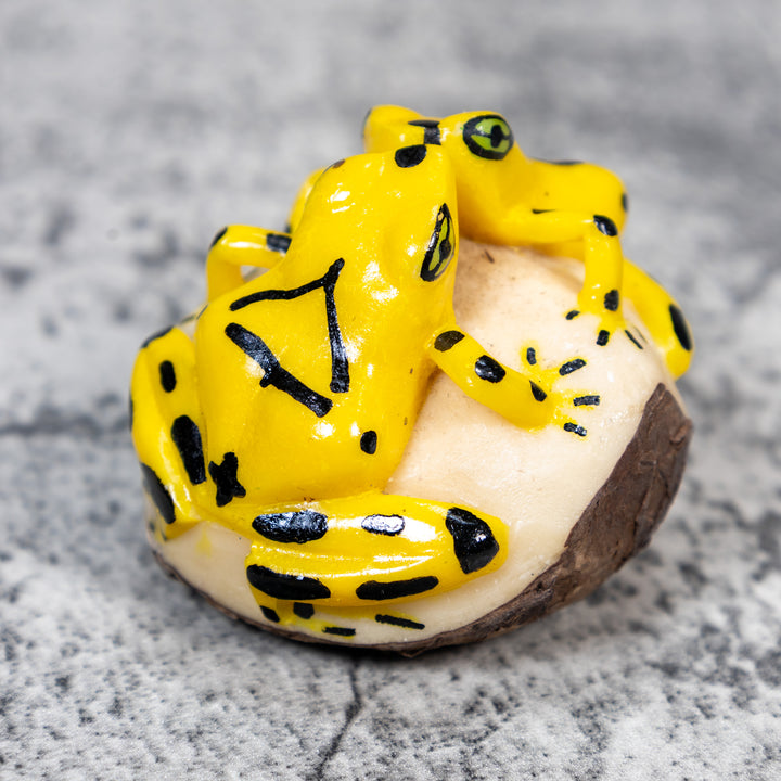 Double Golden Kissing Frog Tagua Carving