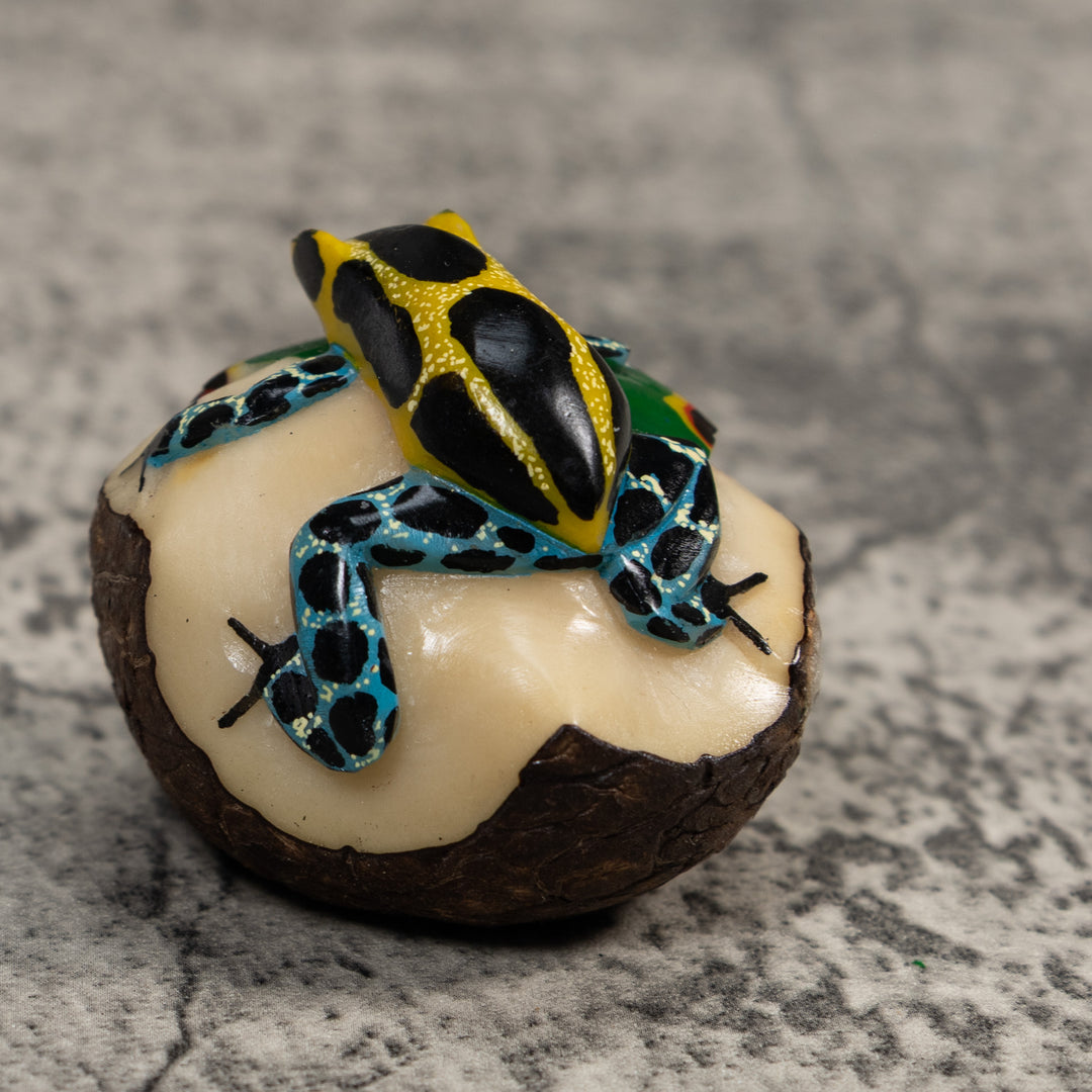 Blue Black And Gold Poison Dart Frog Tagua Carving