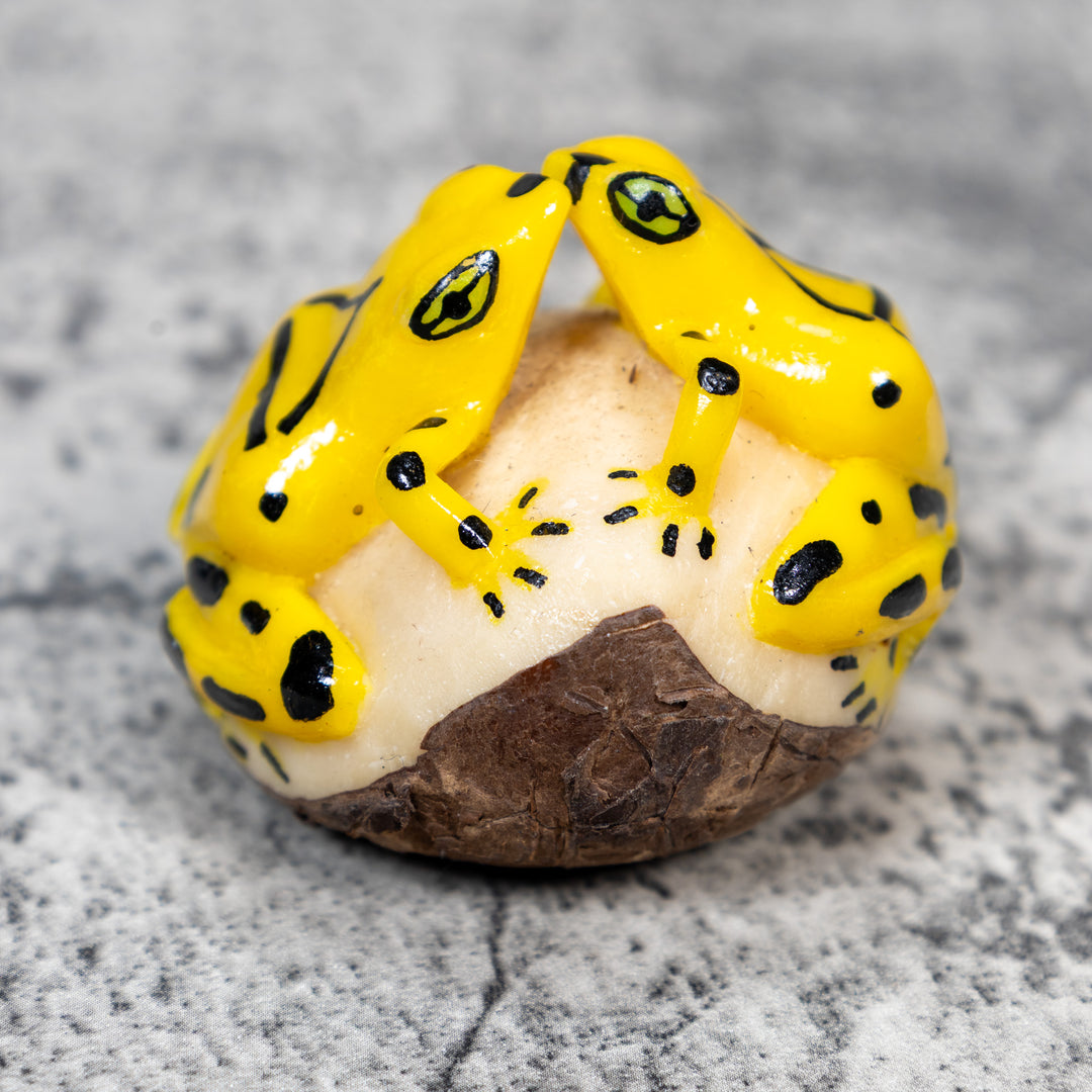 Double Golden Kissing Frog Tagua Carving