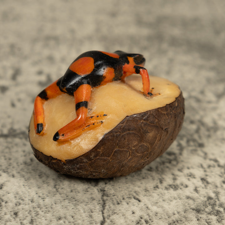 Black And Orange Poison Dart Frog Tagua Carving