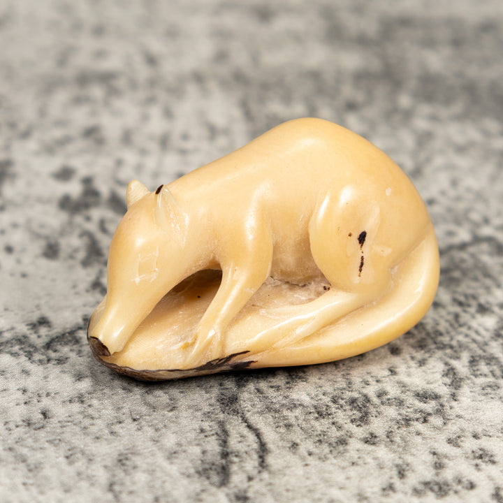 Natural White Coatimundi Tagua Carving