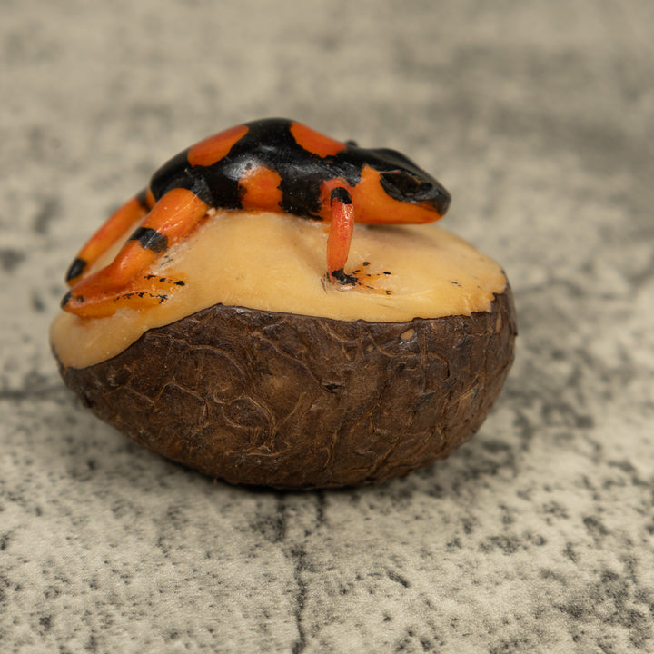 Black And Orange Poison Dart Frog Tagua Carving
