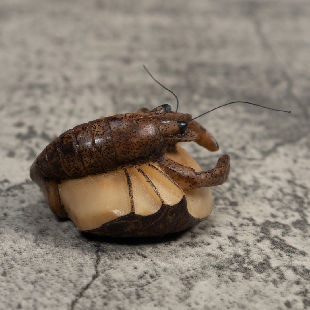 Vintage Brown Shrimp Tagua Carving