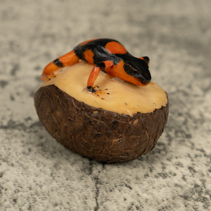 Black And Orange Poison Dart Frog Tagua Carving