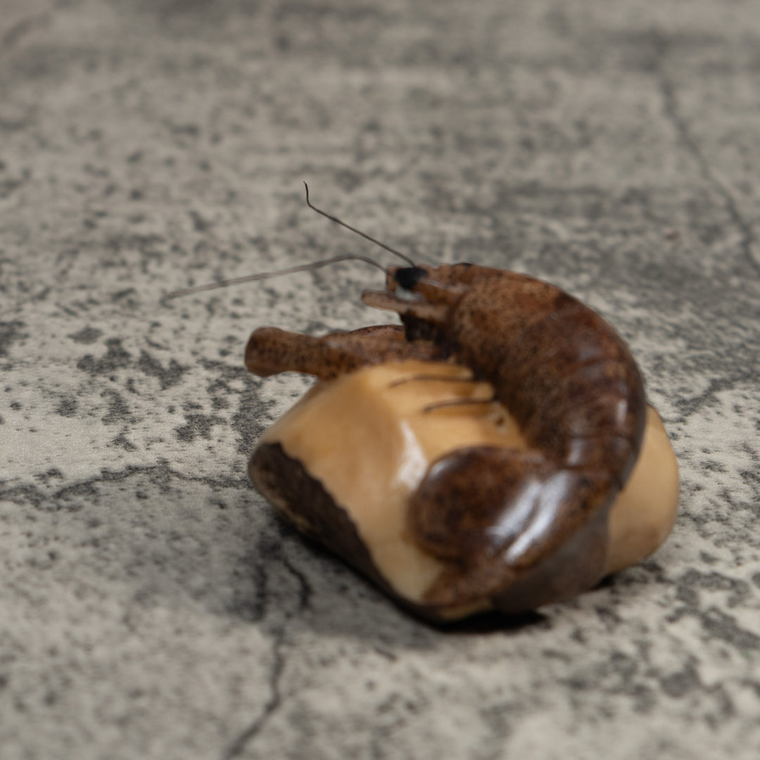 Vintage Brown Shrimp Tagua Carving