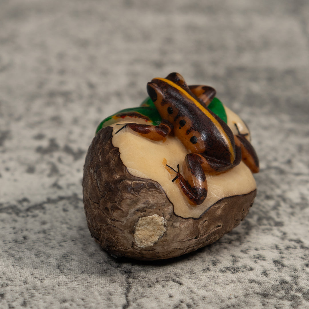 Black And Gold Poison Dart Frog Tagua Carving