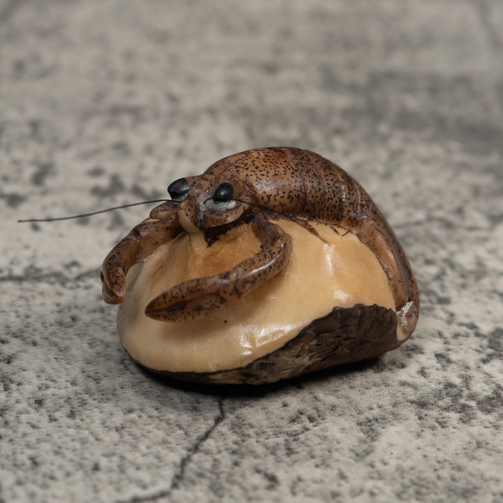 Vintage Brown Shrimp Tagua Carving
