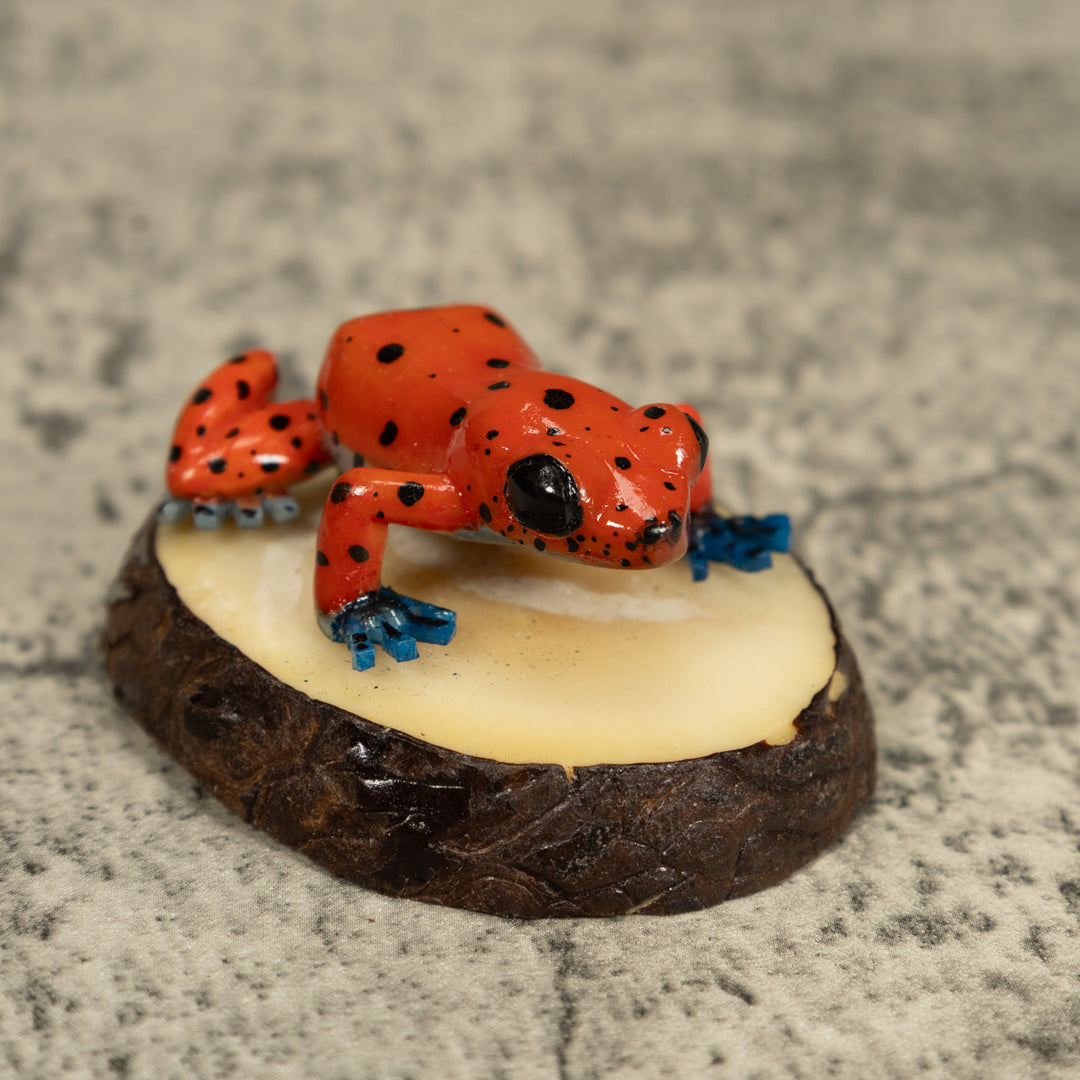 Red And Blue Poison Dart Frog Tagua Carving