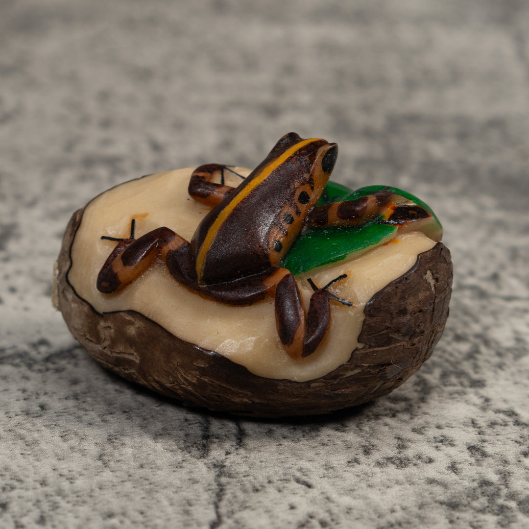 Black And Gold Poison Dart Frog Tagua Carving