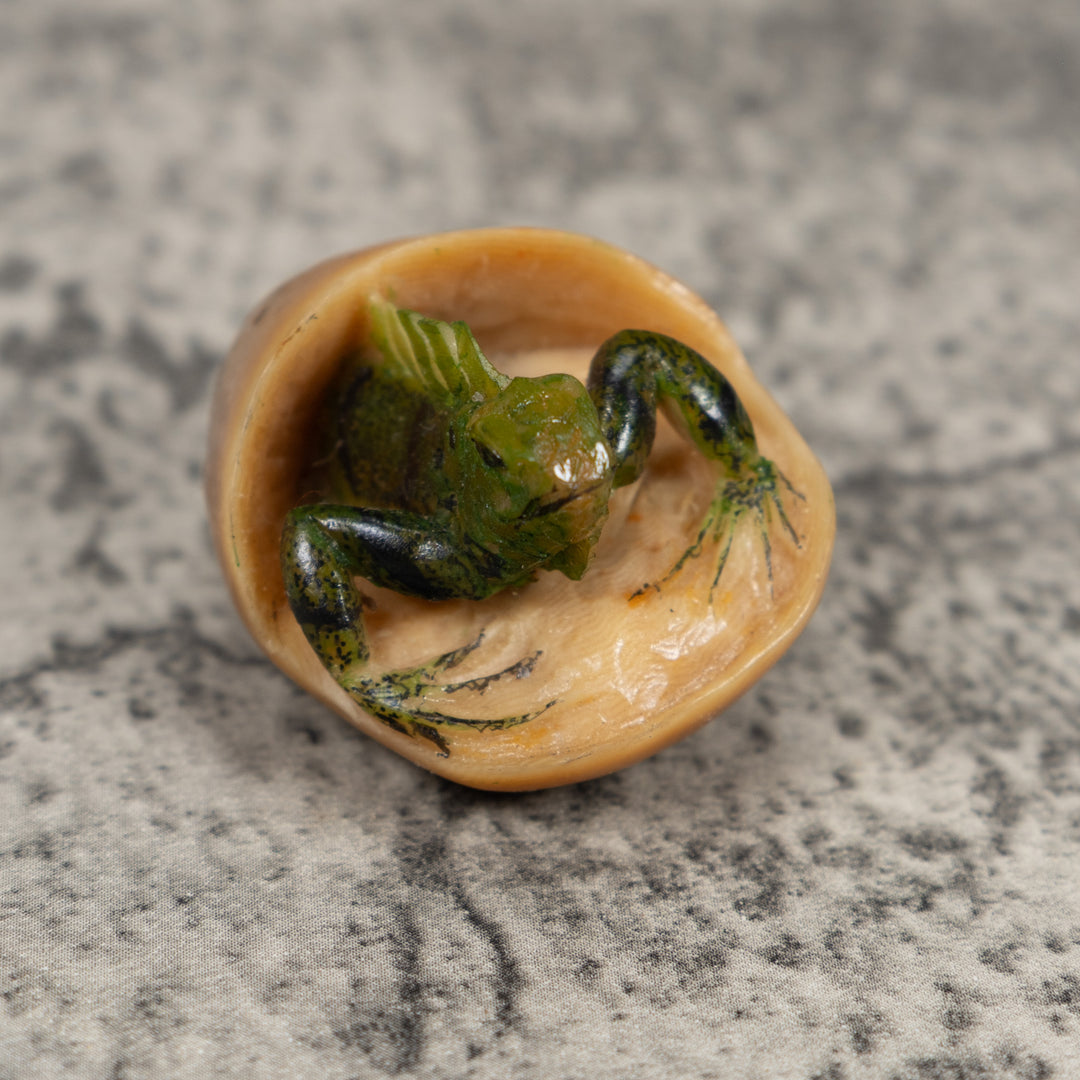 Vintage Iguana Lizard Emering From Egg Tagua Carving