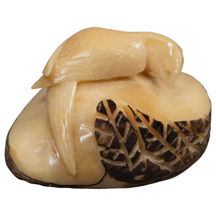 Vintage White Parrot Bird Tagua Carving