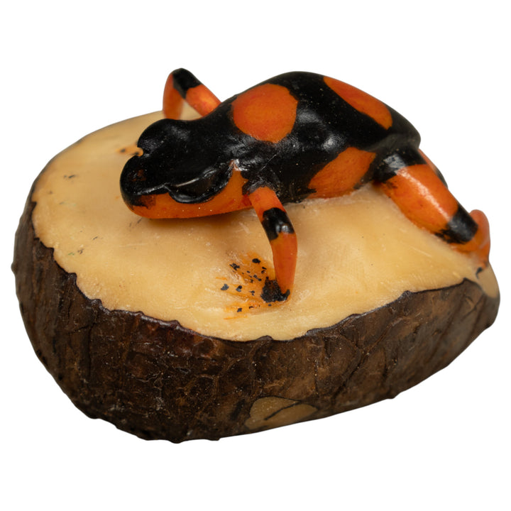 Black And Orange Poison Dart Frog Tagua Carving