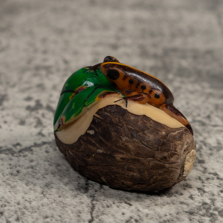 Black And Gold Poison Dart Frog Tagua Carving