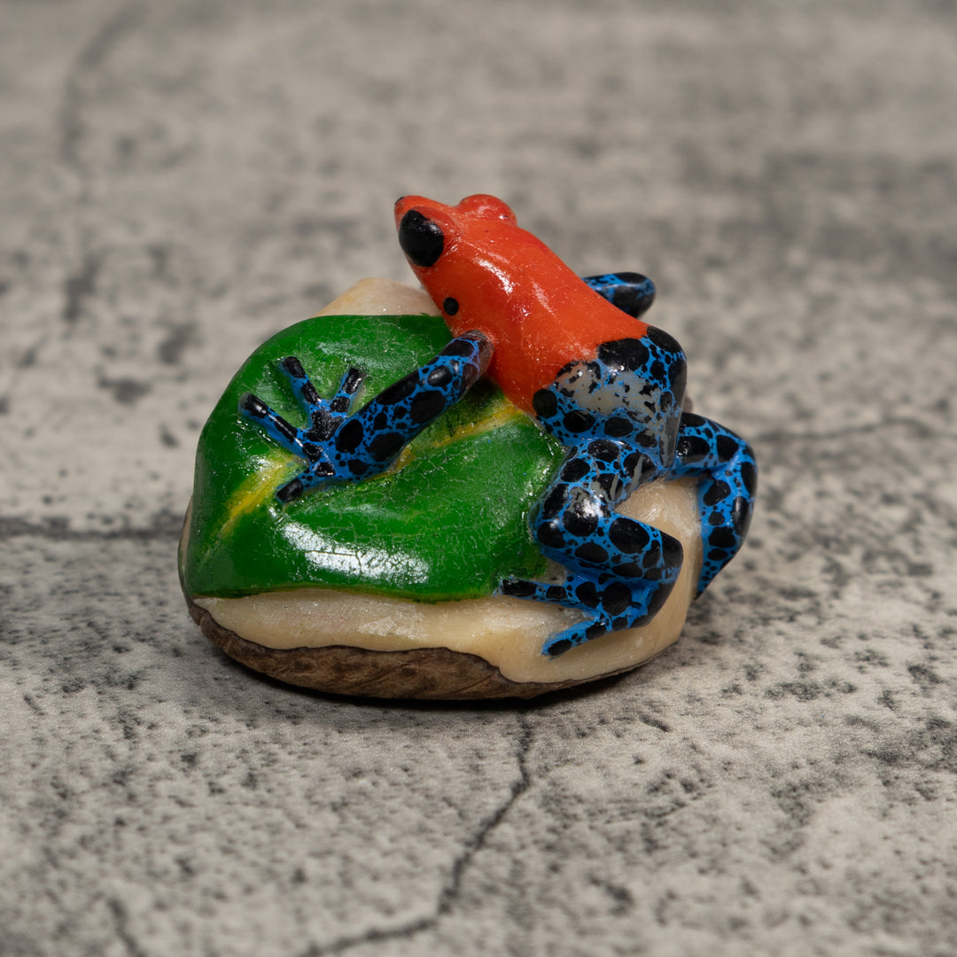 Red Blue And Black Poison Dart Frog Tagua Carving