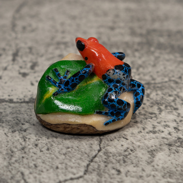 Red Blue And Black Poison Dart Frog Tagua Carving