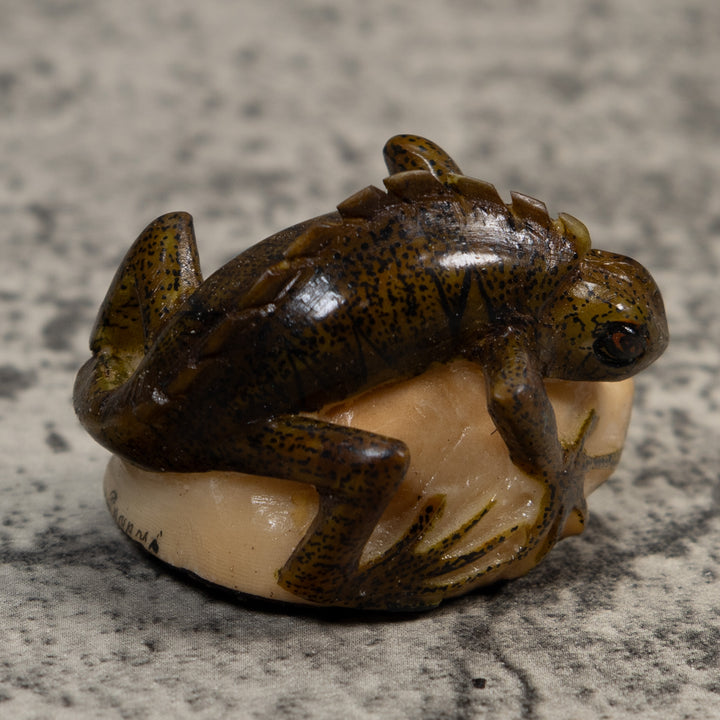 Brown And Black Iguana Lizard Tagua Carving