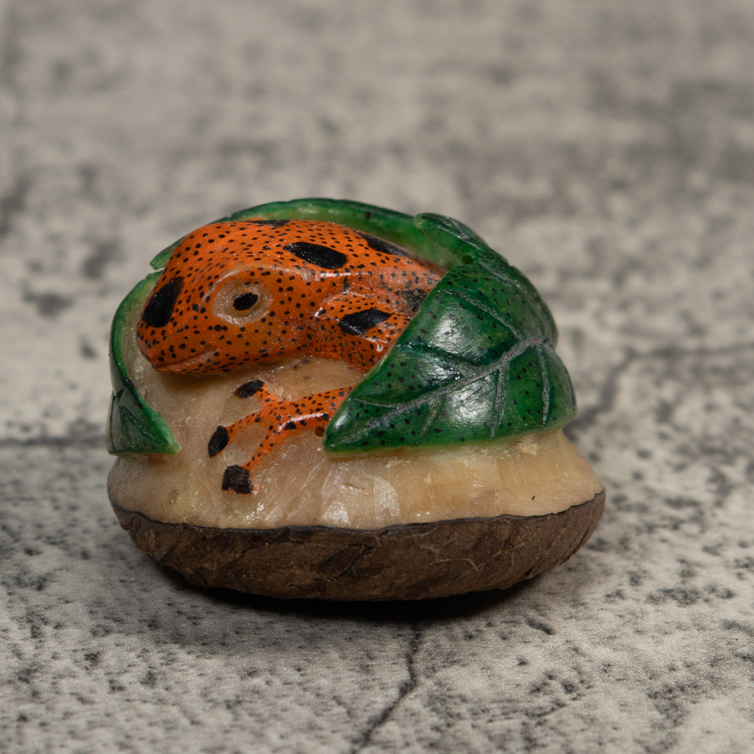 Vintage Orange Black And Green Frog Tagua Carving