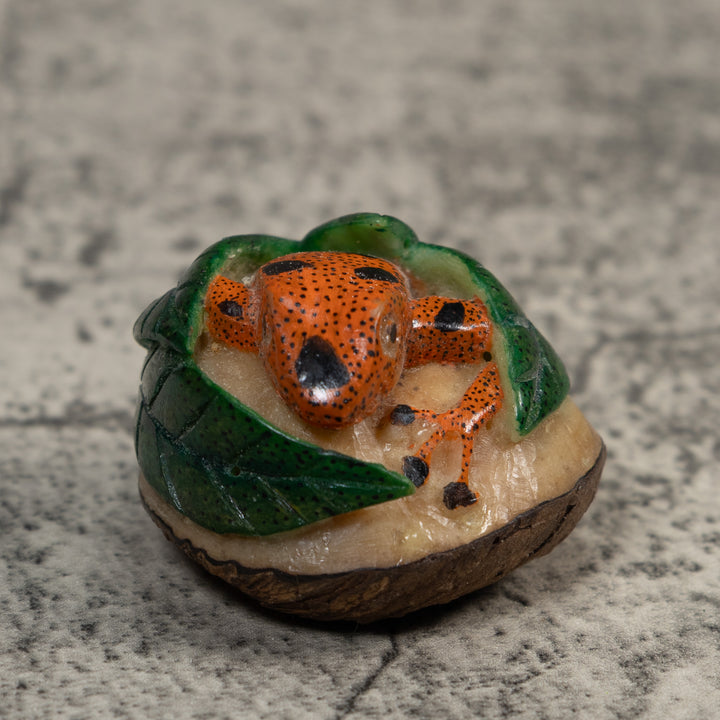 Vintage Orange Black And Green Frog Tagua Carving