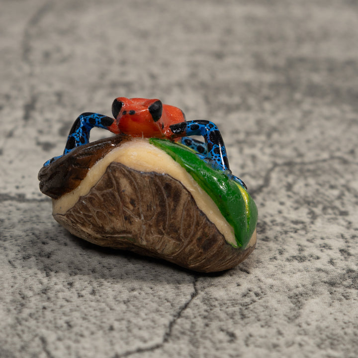 Red Blue And Black Poison Dart Frog Tagua Carving
