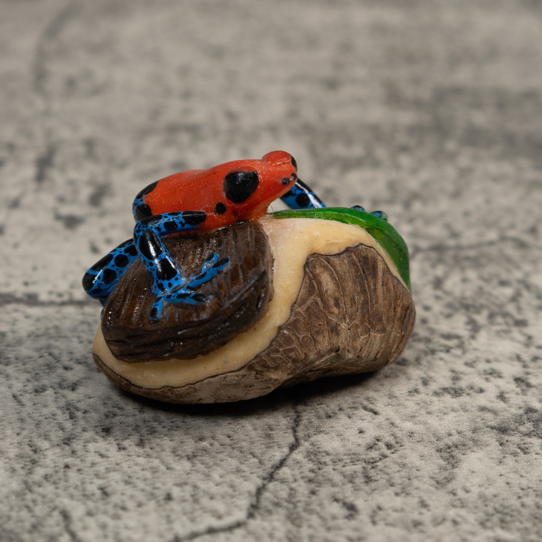 Red Blue And Black Poison Dart Frog Tagua Carving