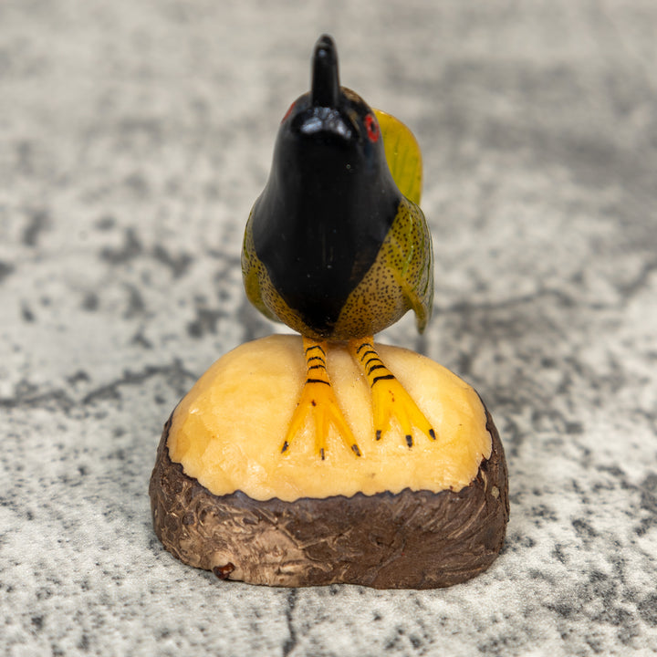 Seed Eater Bird Tagua Carving